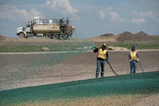 Crew hand-spraying hydraulic mulch