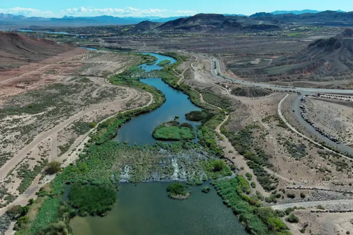 Established wetland and riparian planting after multi-season establishment