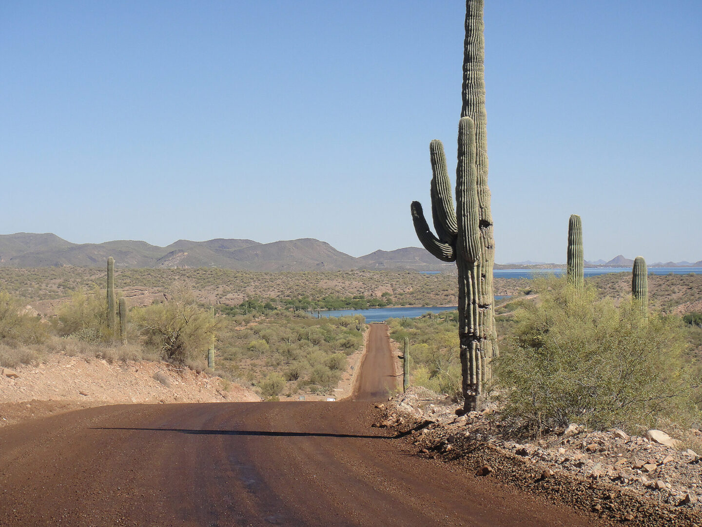 Treated desert access road holding surface through dry season